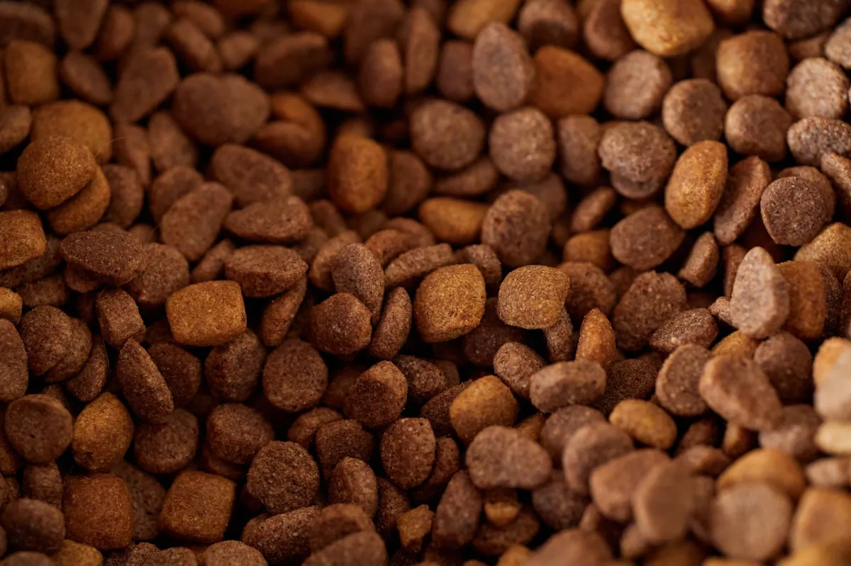 Purina Dog Food: Complete Guide & Buying Tips
