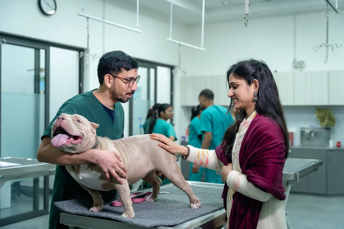 Veterinary price list: what you need to know now