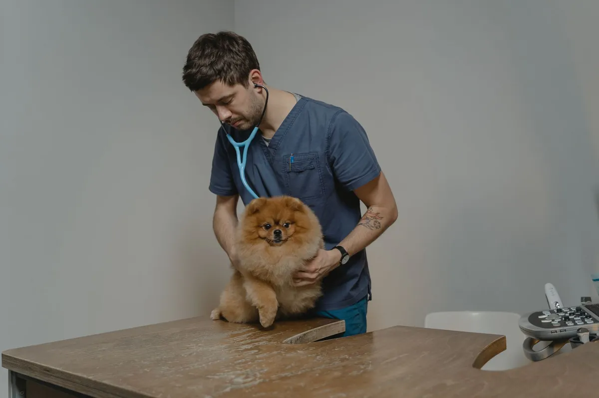 Vin Veterinary: Your Trusted Vet-Only Community for Expert Support