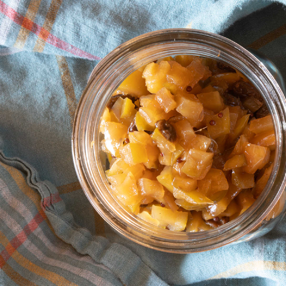 Apple Chutney Recipe