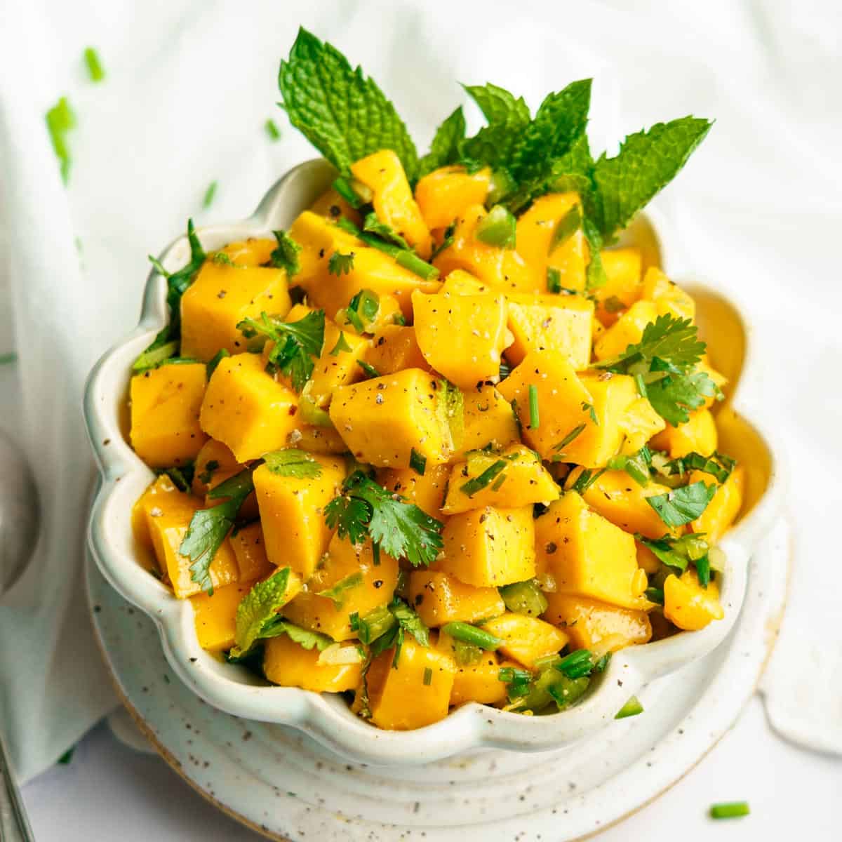 Mango and Mint Marinade Recipe