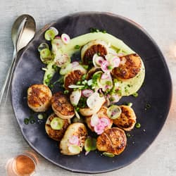 Grilled Sea Scallops on Tortilla Chips with Avocado Puree and Jalapeno Pesto Recipe