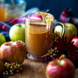 Peach and Apricot Hard Cider Recipe