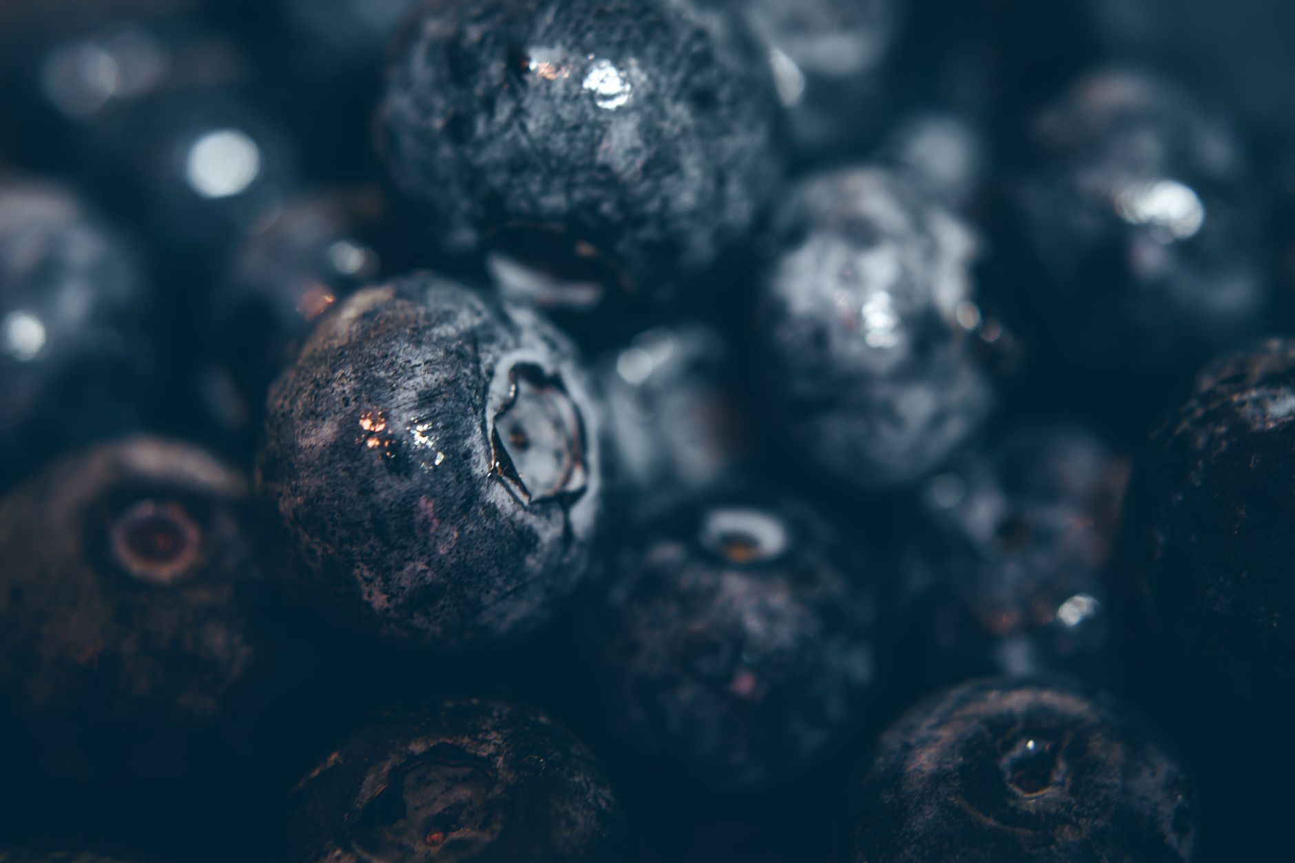 Little Blog of Vegan Blueberry Cheesecake Made Easy