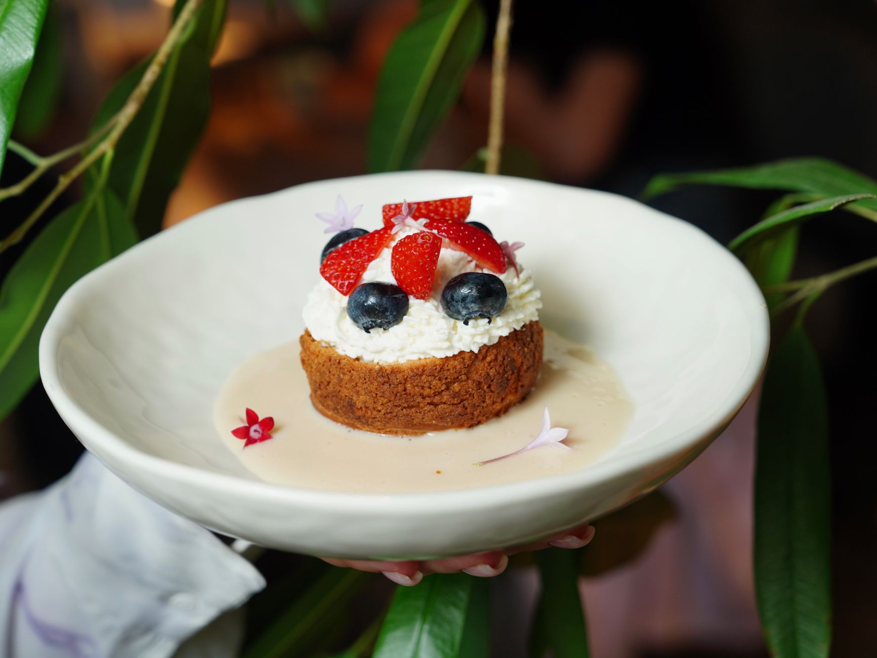 Keto Blueberry Cheesecake (No Bake) That’s Easy & Delicious