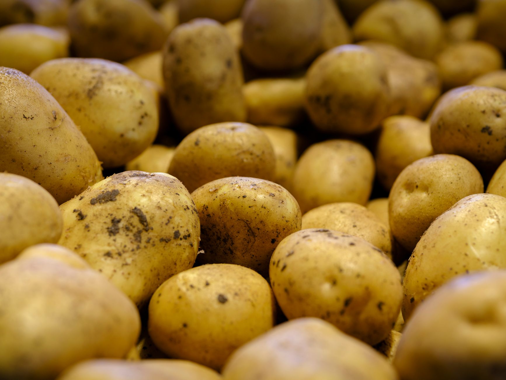 Russet Potatoes on Griddle: Crispy Texture + Simple Technique