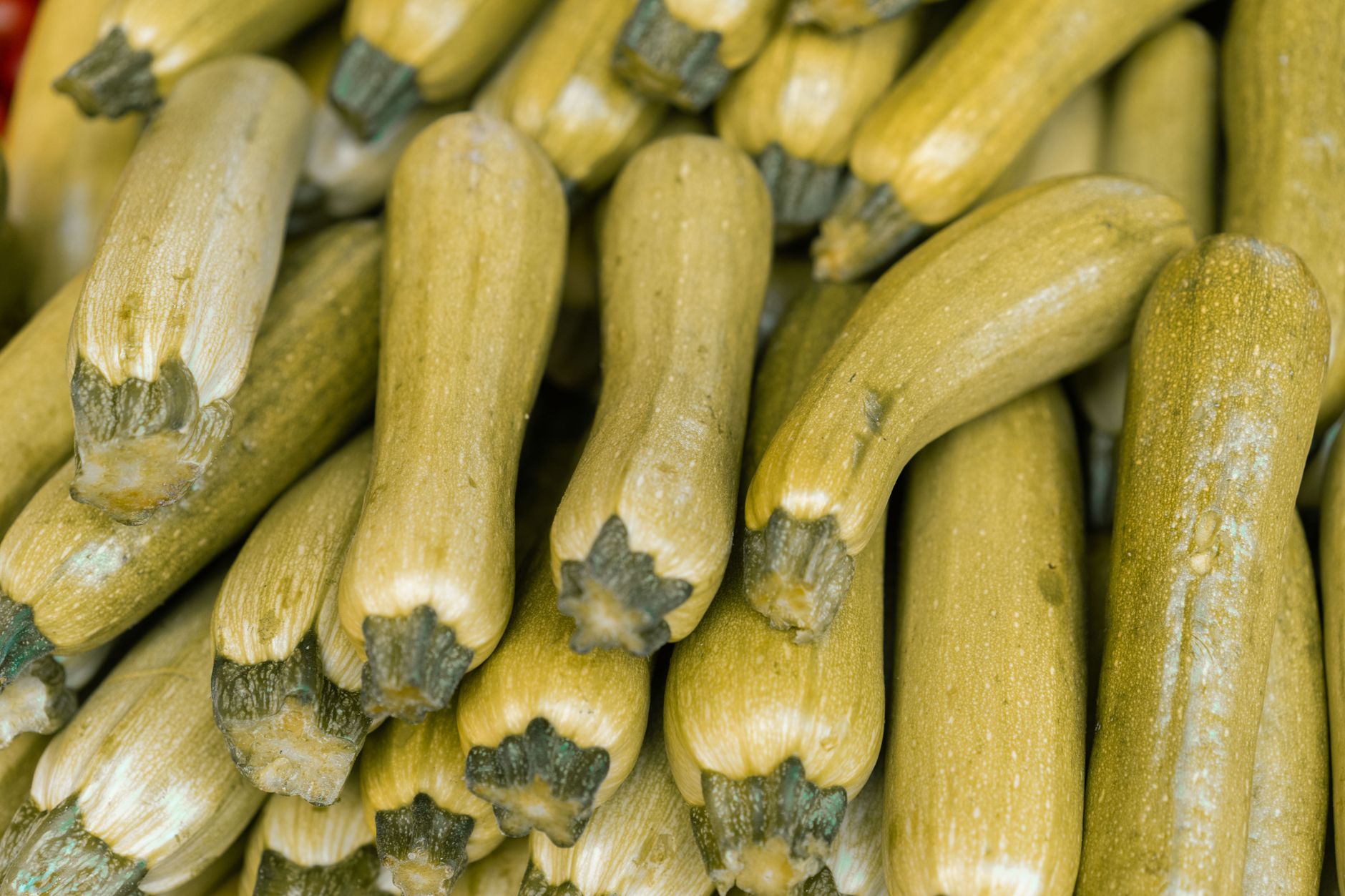 Squash and Zucchini on Traeger: Smoky Flavor Meets Easy Grilling
