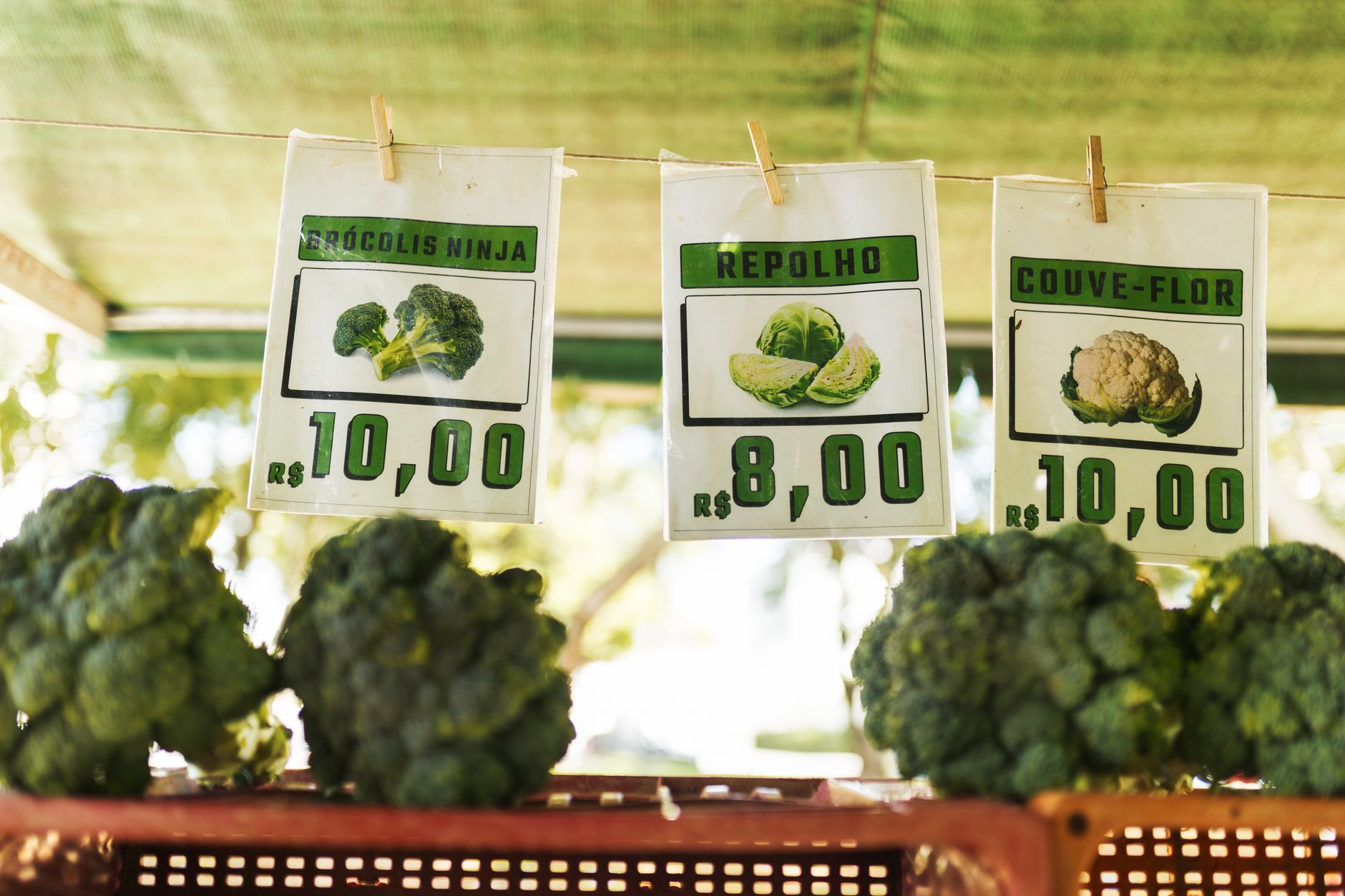 Vegetable Recipes List: Fresh Ideas for Easy, Healthy Meals