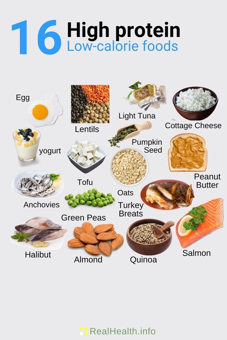 Delicious Foods High Protein Low Calorie That Energize Your Day