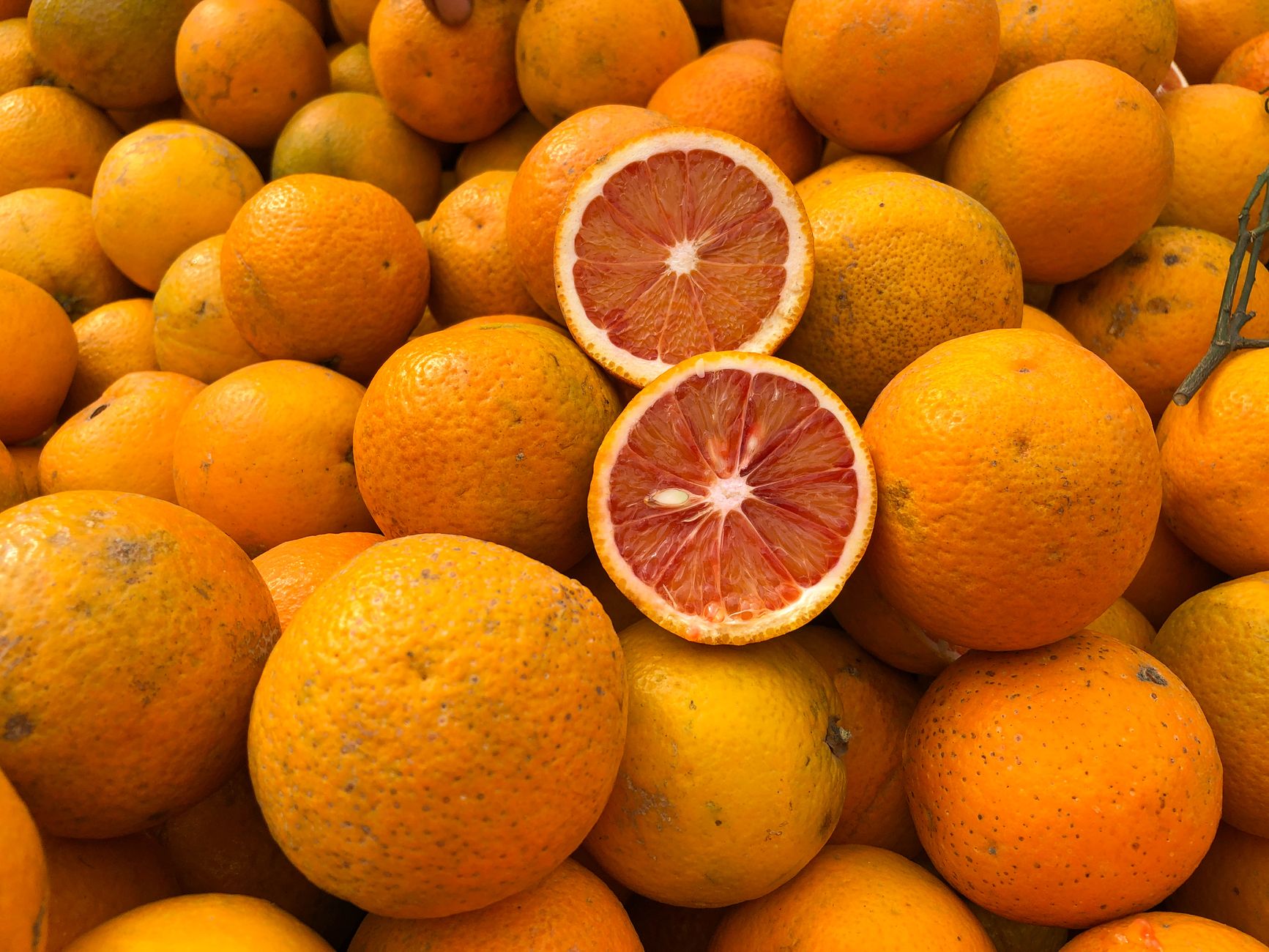 Best Foods to Lower Blood Pressure Naturally