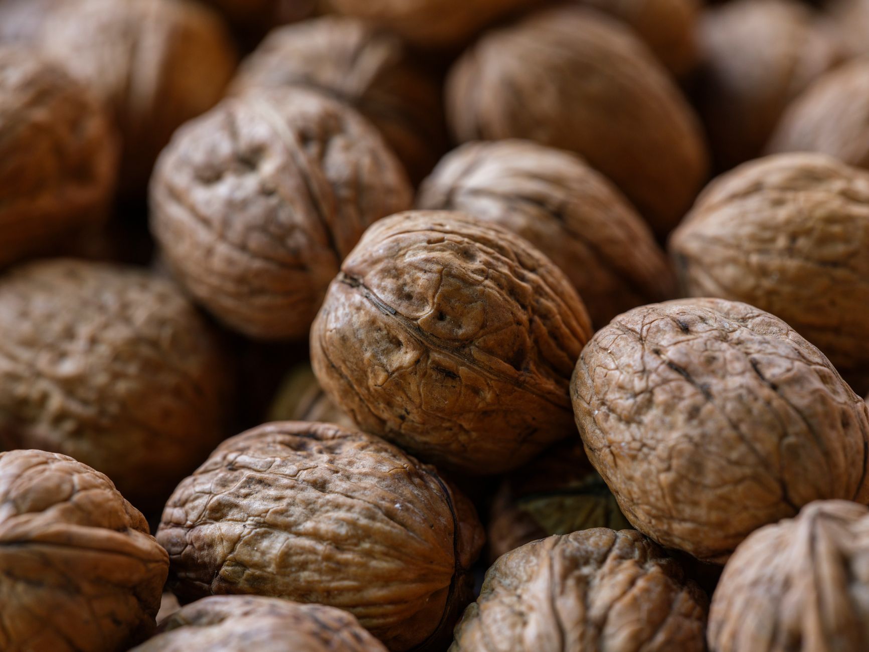 Brain Healthy Foods That Boost Focus, Memory, and Mood