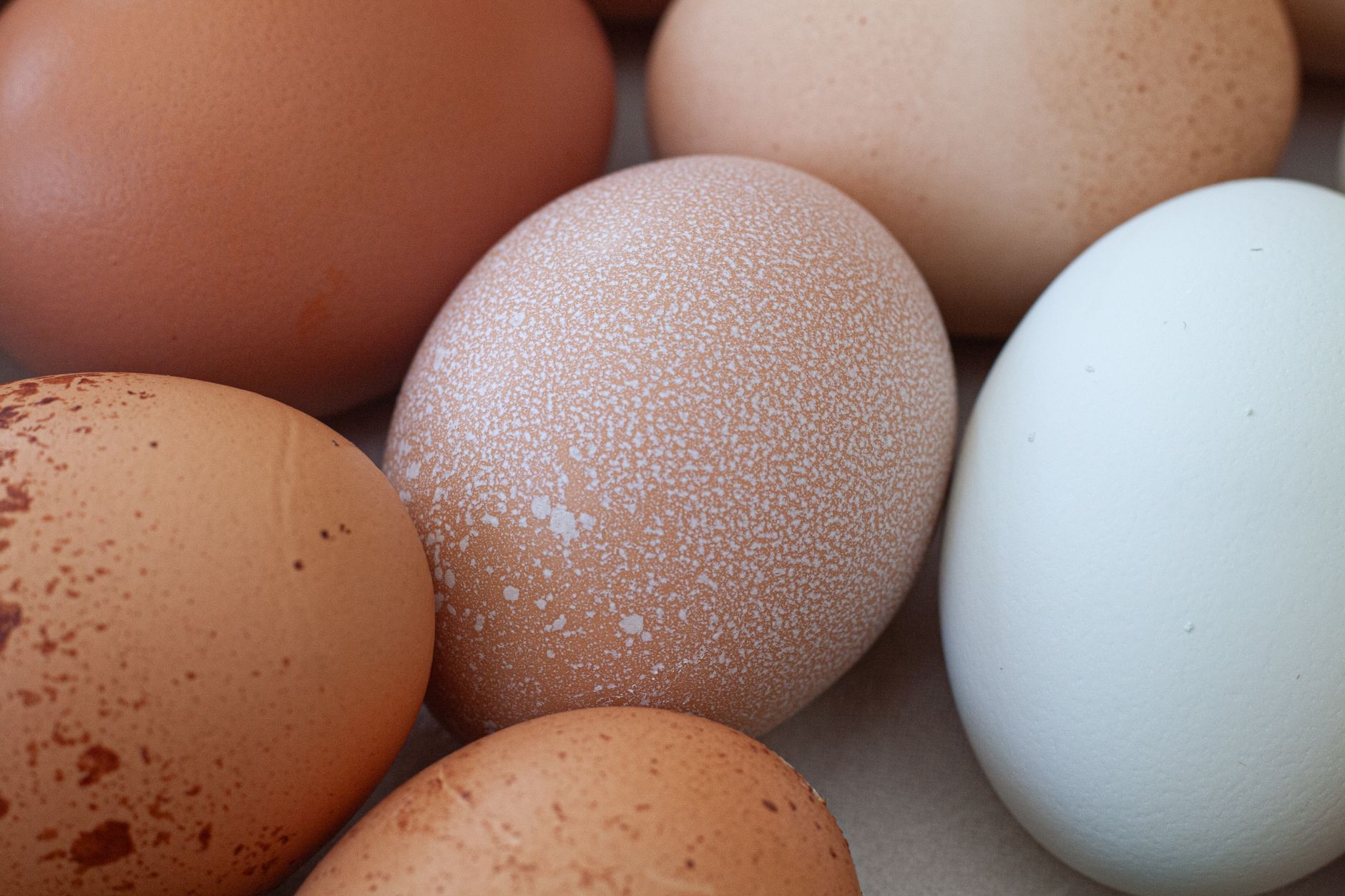 Egg Freshness Test: How To Tell If An Egg Is Bad Without Any Extra Supplies