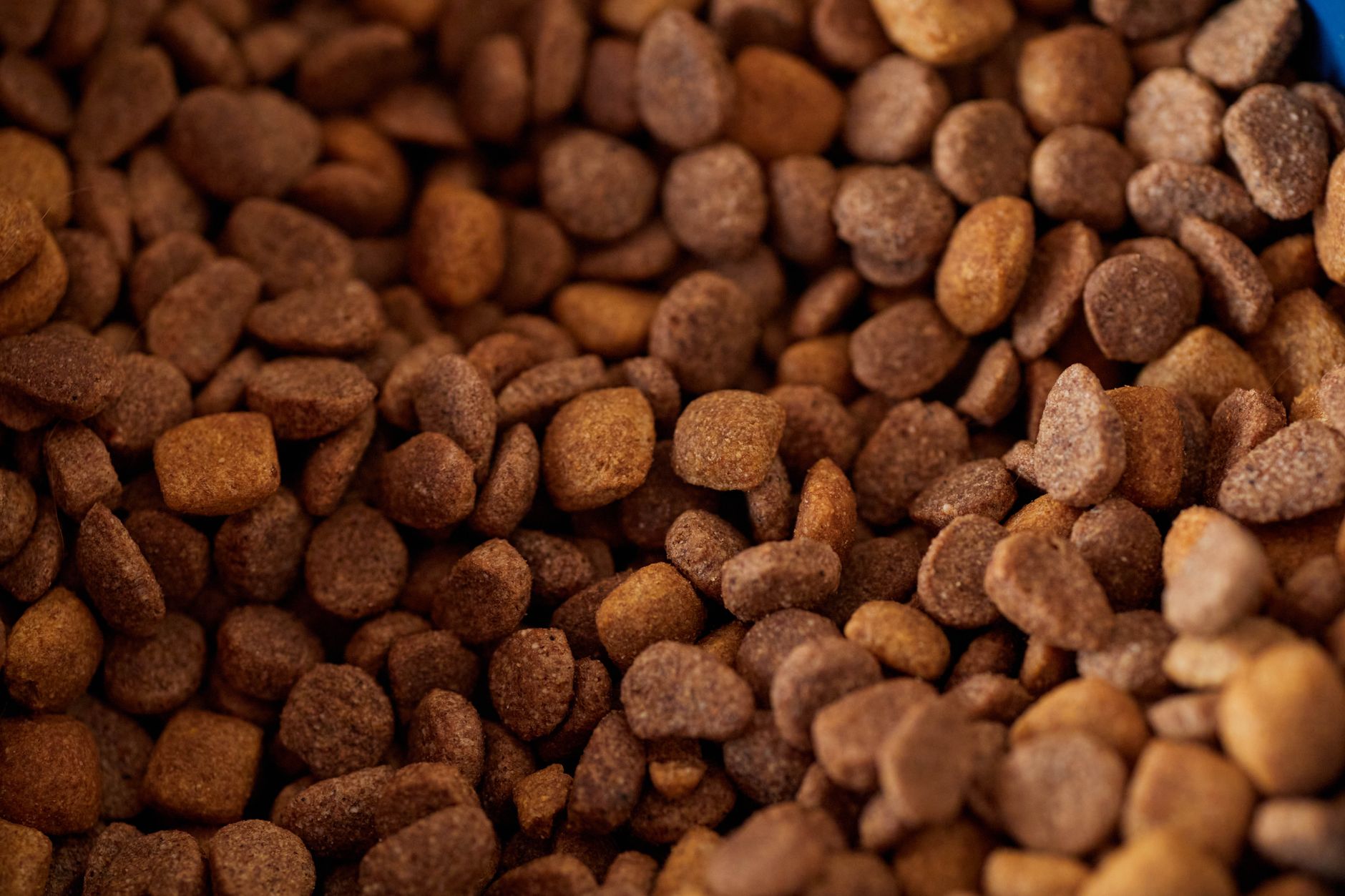 Hills Dog Food Weight Loss: A Friendly Guide to Helping Your Pup Shed Pounds