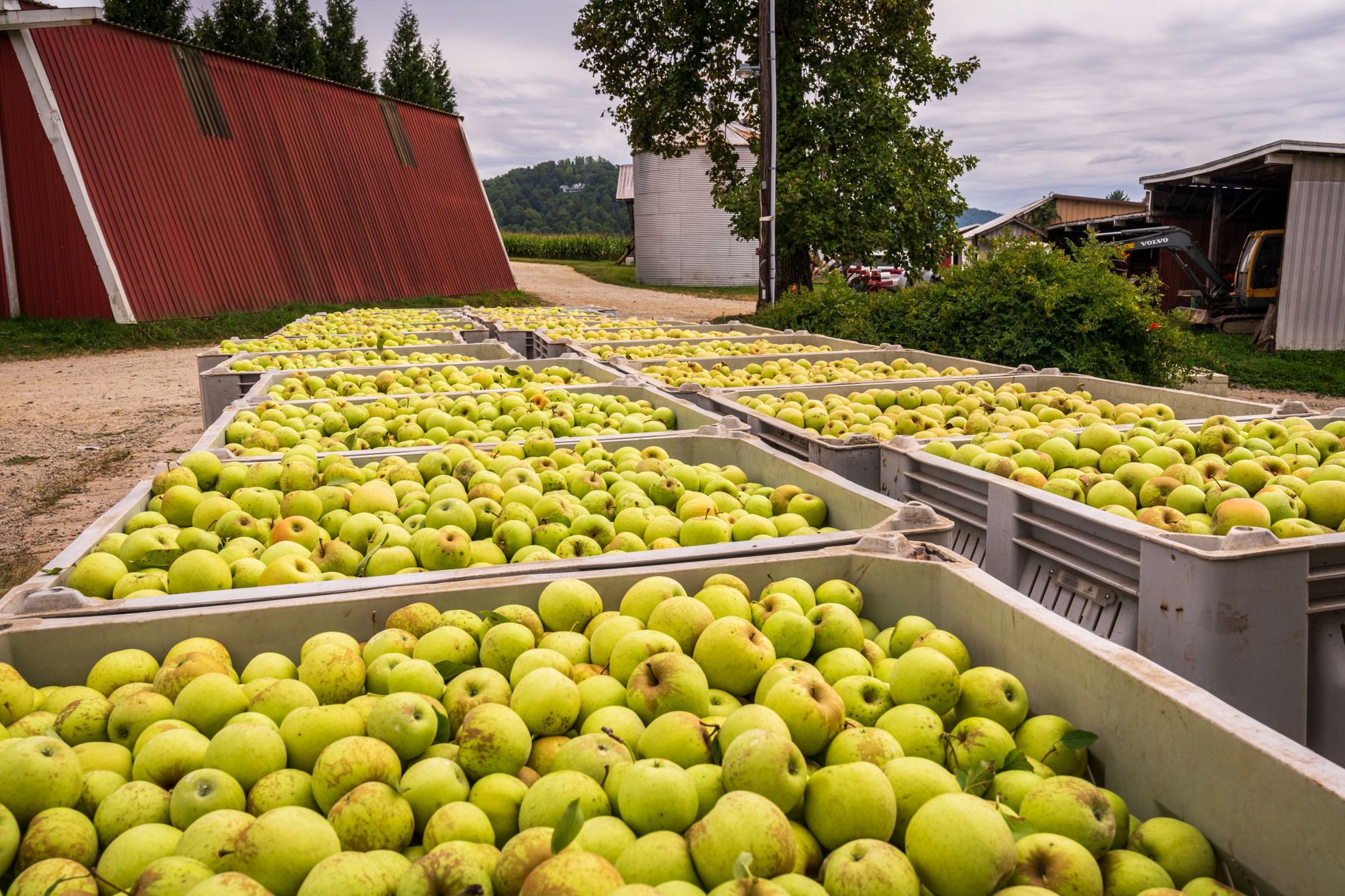 11 Apple Cider Vinegars, Ranked Worst To Best