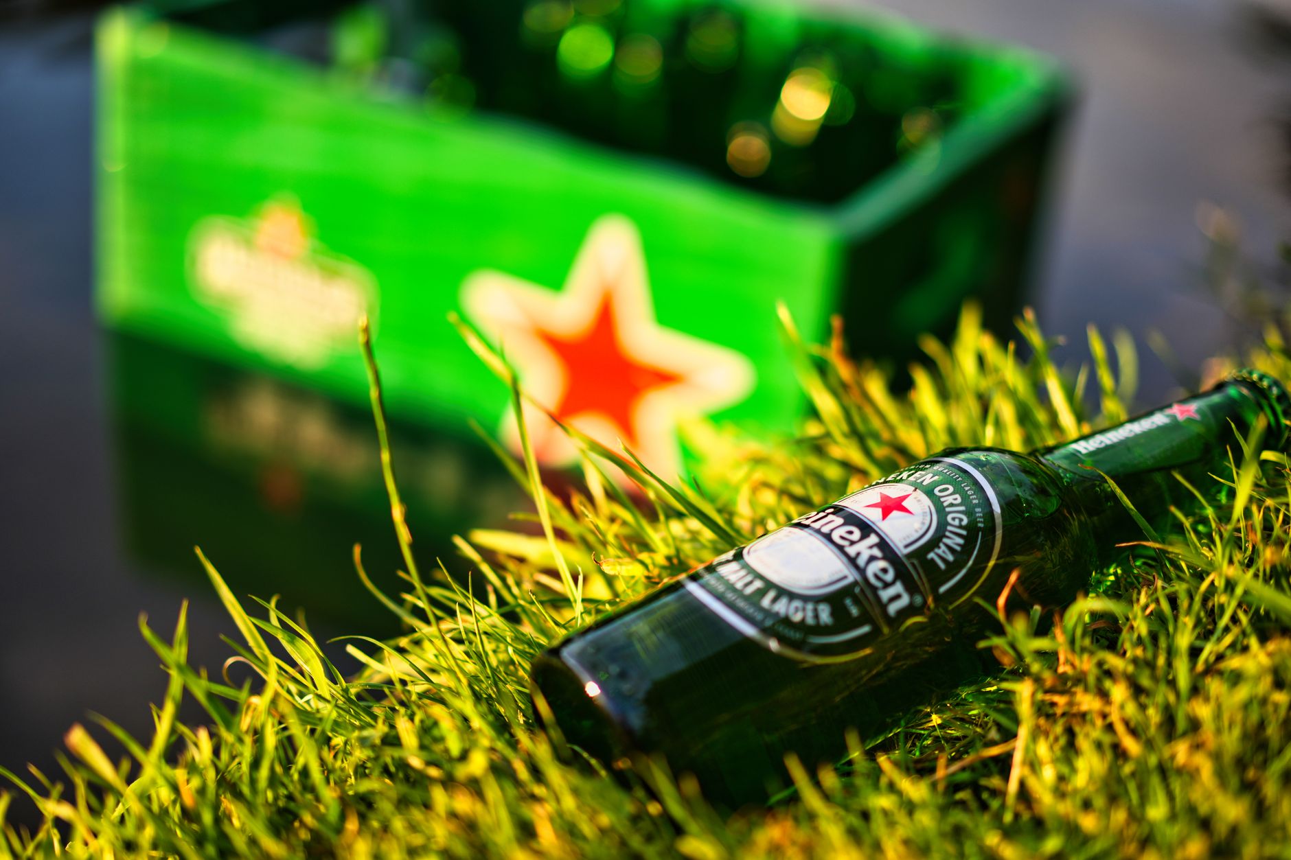 Ranking Cheap Beer Brands From The Least Drinkable To The Absolute Best