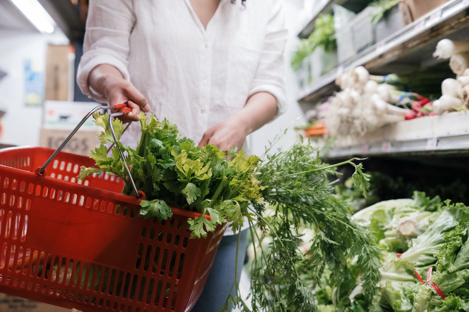 Coriander Substitute: The 18 Best Alternatives to Try Today