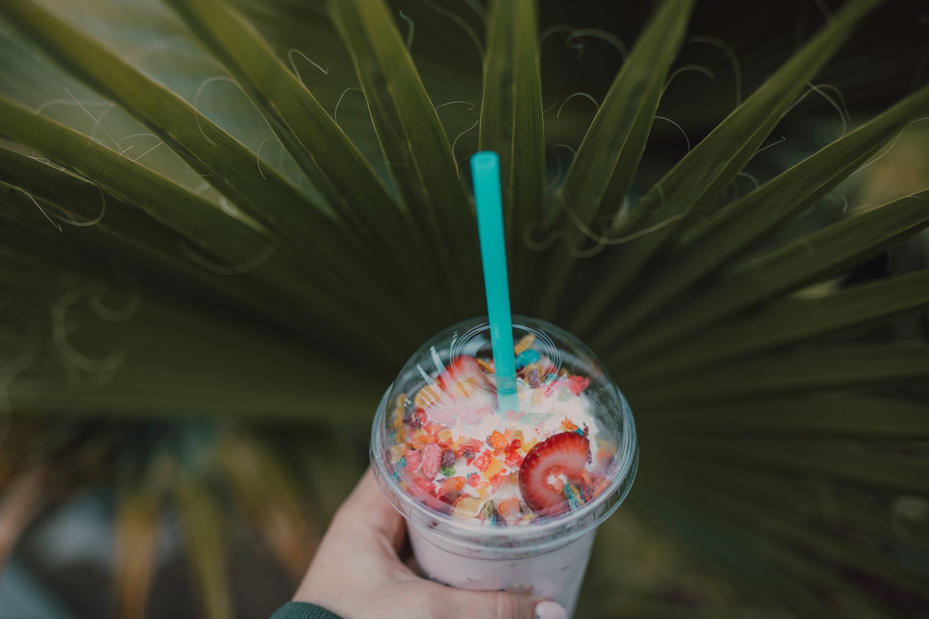 Dutch Bros Secret Menu: 9 Must-Try Drinks That Everyone Loves