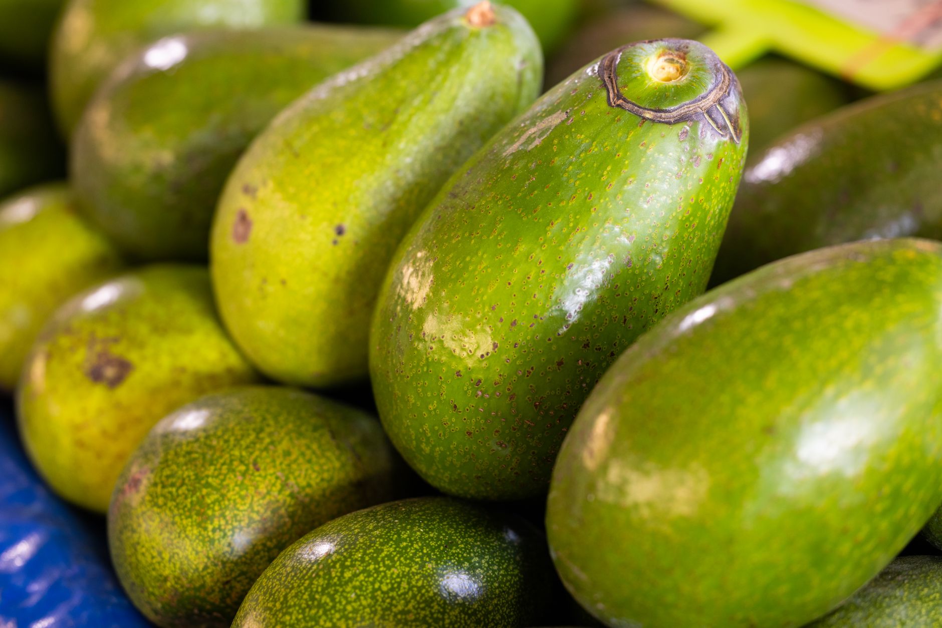 The Best Way To Freeze Avocados and Keep Them Fresh