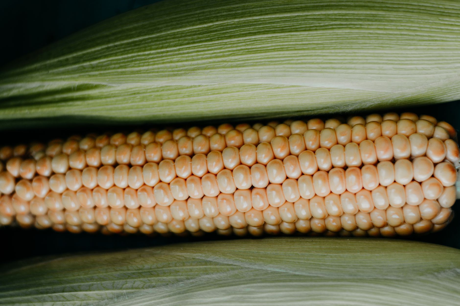 How To Freeze Corn On The Cob And Keep It Freezer Burn-Free