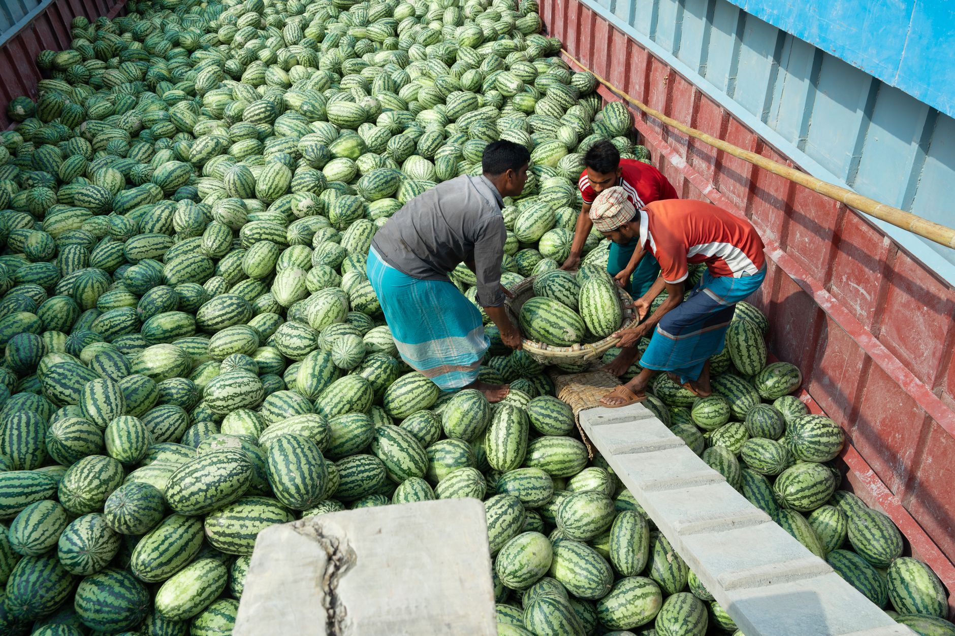Can You Freeze Watermelon? Your Guide to Freezing & Storing It Right