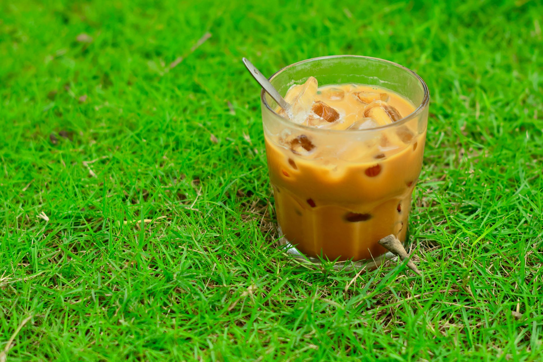 Kombucha Vs Coffee: How Does Their Caffeine Content Compare?