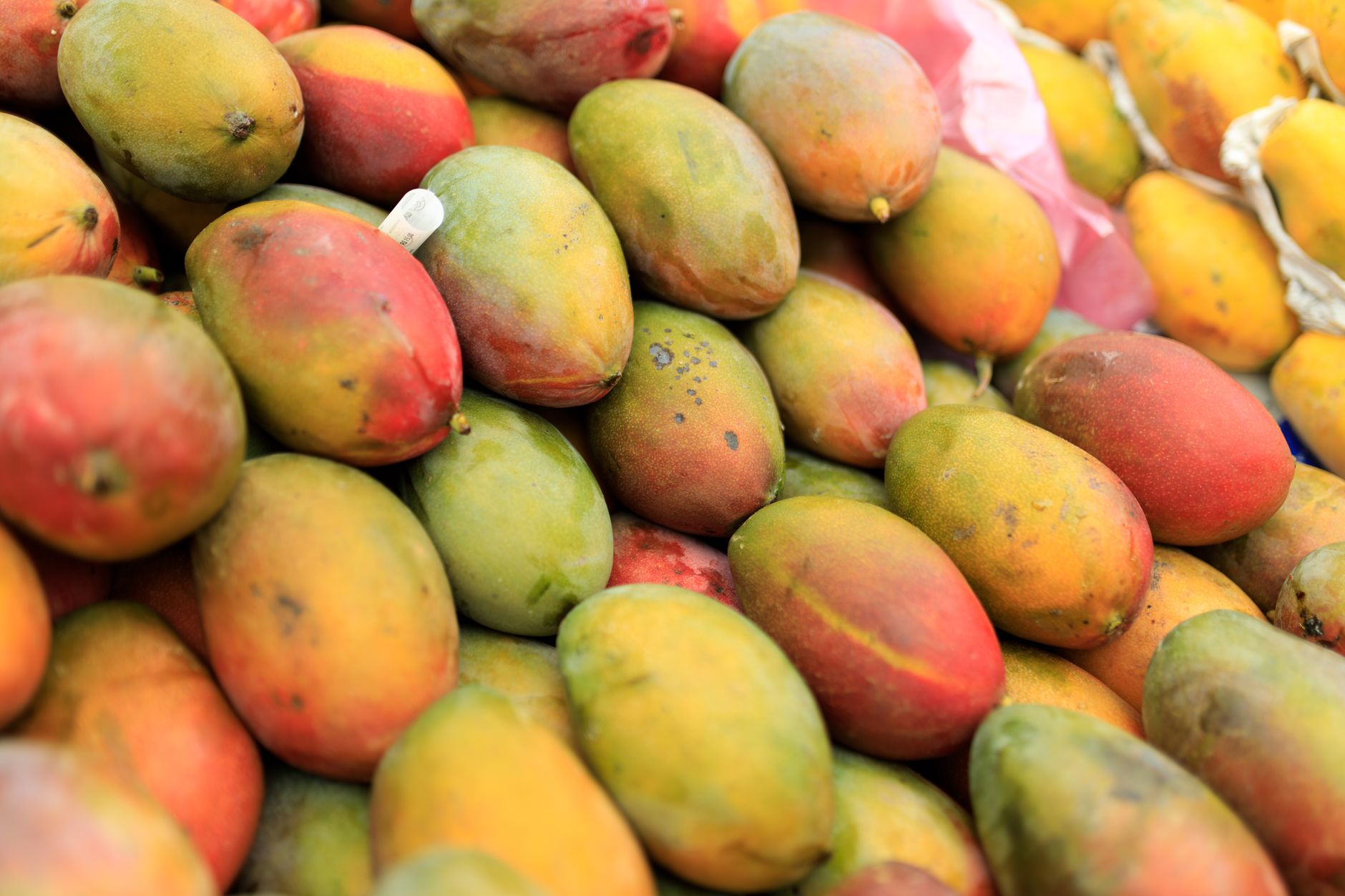 3 Easy Ways To Tell If A Mango Is Ripe