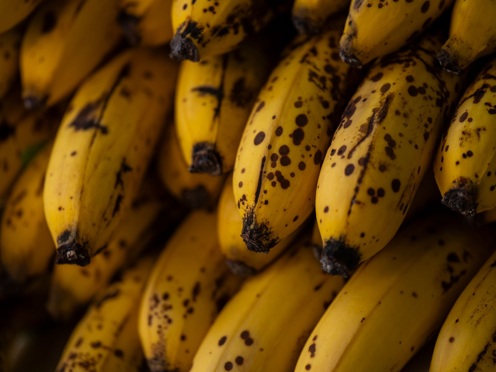 How To Make Bananas Ripen Faster Using Just Your Oven
