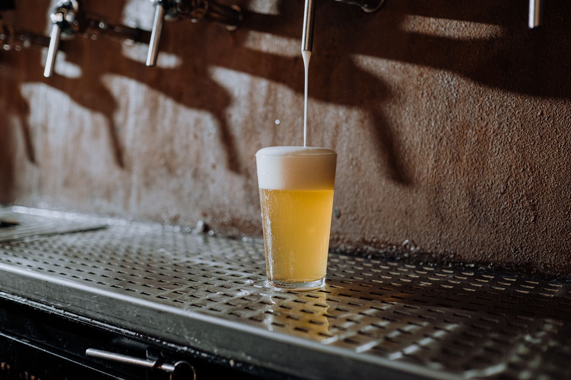 What Is Stout Beer And How Should You Drink It?