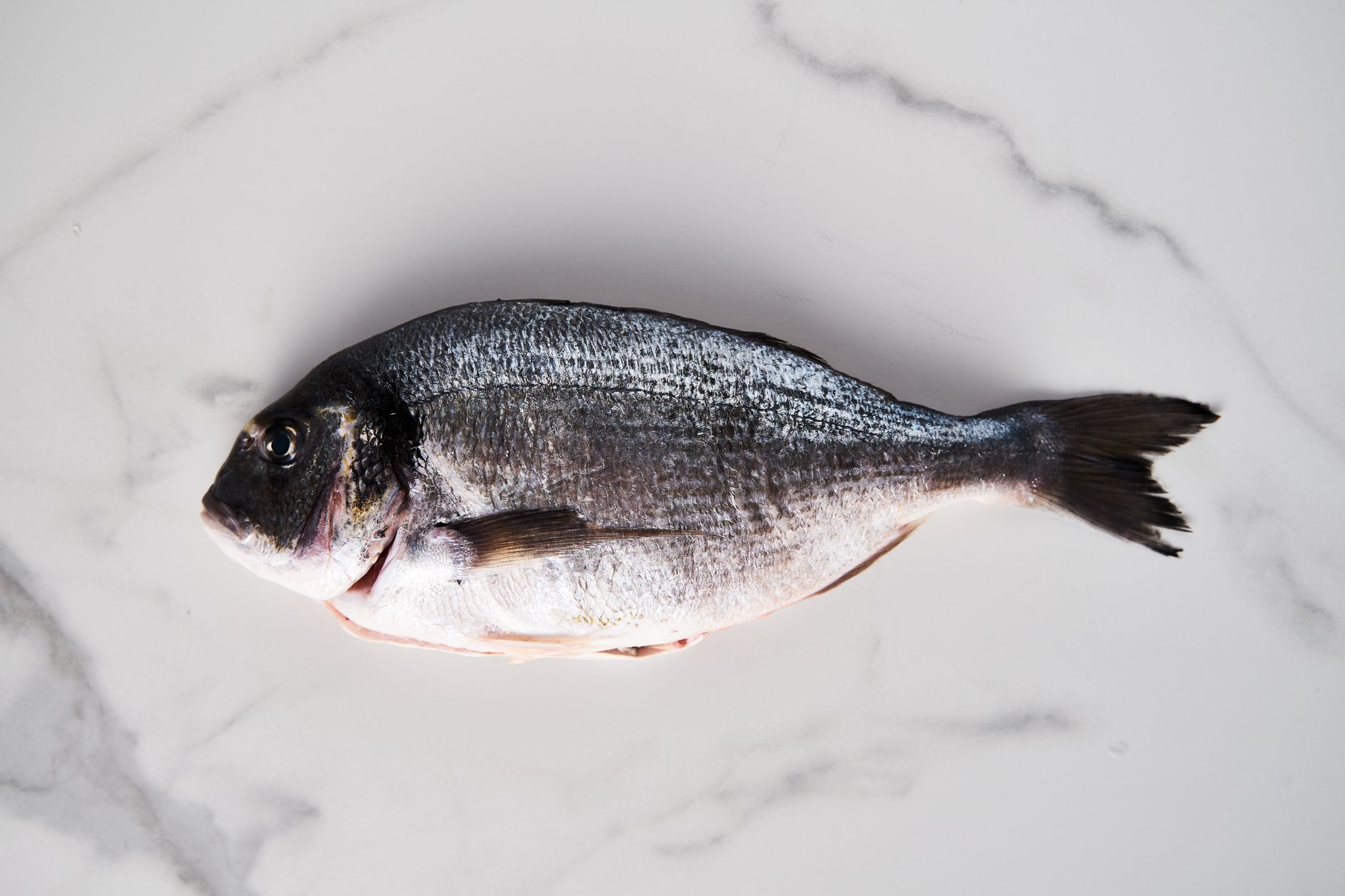 Buy Whole Fish: A Smart Seafood Choice for Budget and Quality