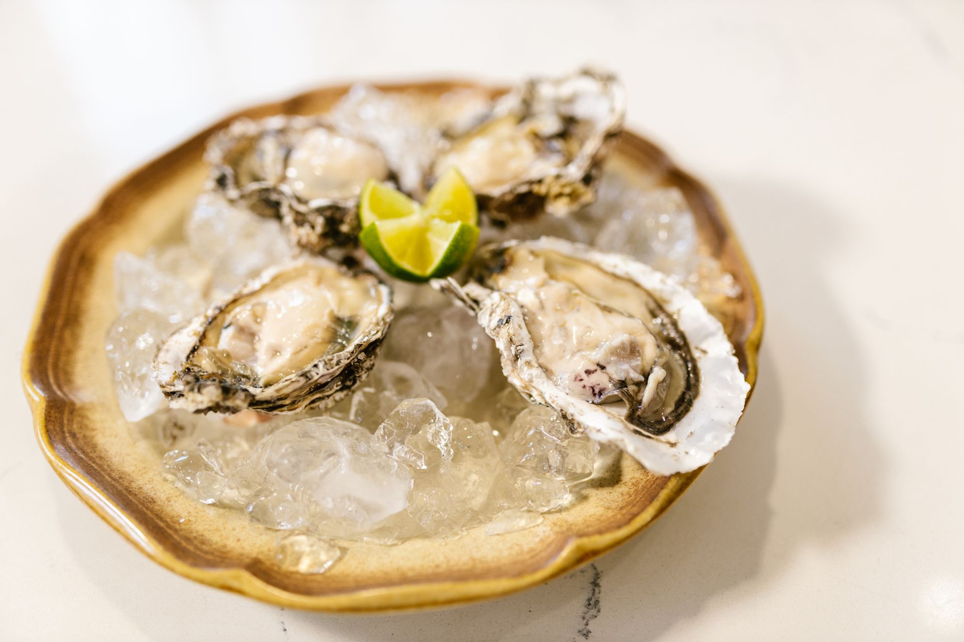 15 Delicious Canned Oysters Recipes to Try Today