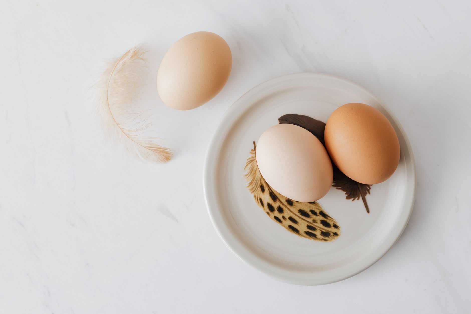 How To Safely Clean Farm Fresh Eggs for Healthier Meals