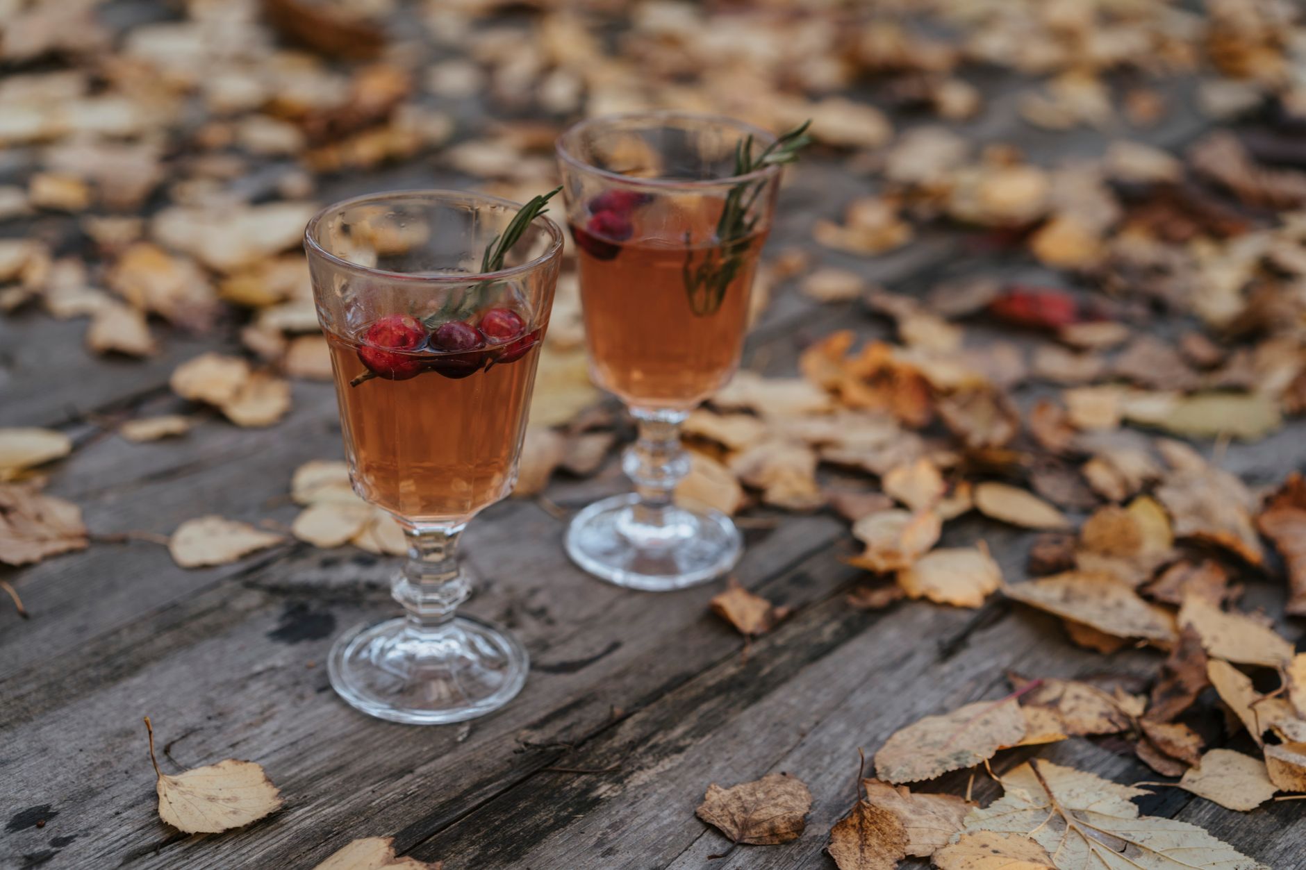 Refreshing Cranberry Ginger Ale: Easy Homemade Recipe & Tips