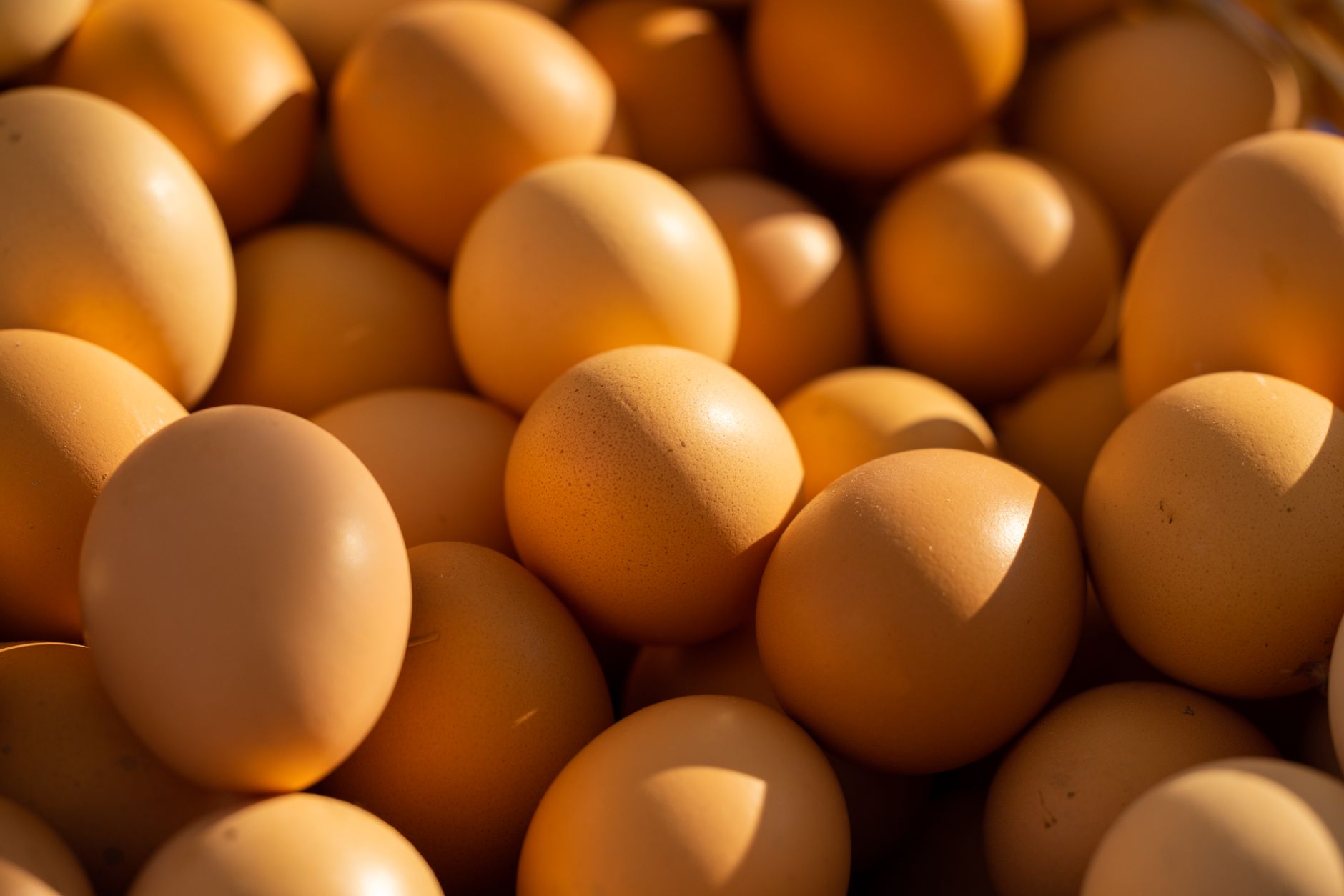 Understanding Egg Freshness: How to Tell If Your Eggs Are Still Good
