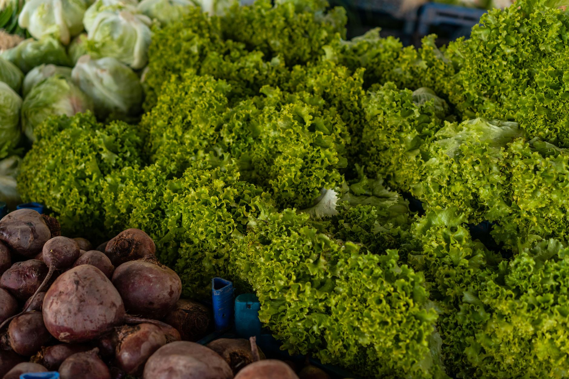 Five Guys Fresh Ingredients: Why You Pay More for Quality