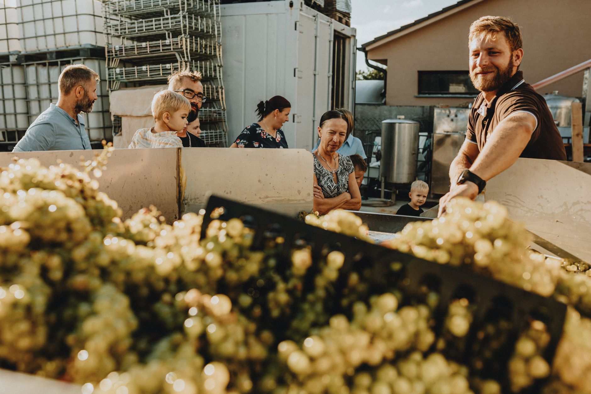 Freeze Grapes Time: How Long To Freeze Grapes For The Perfect Crunch