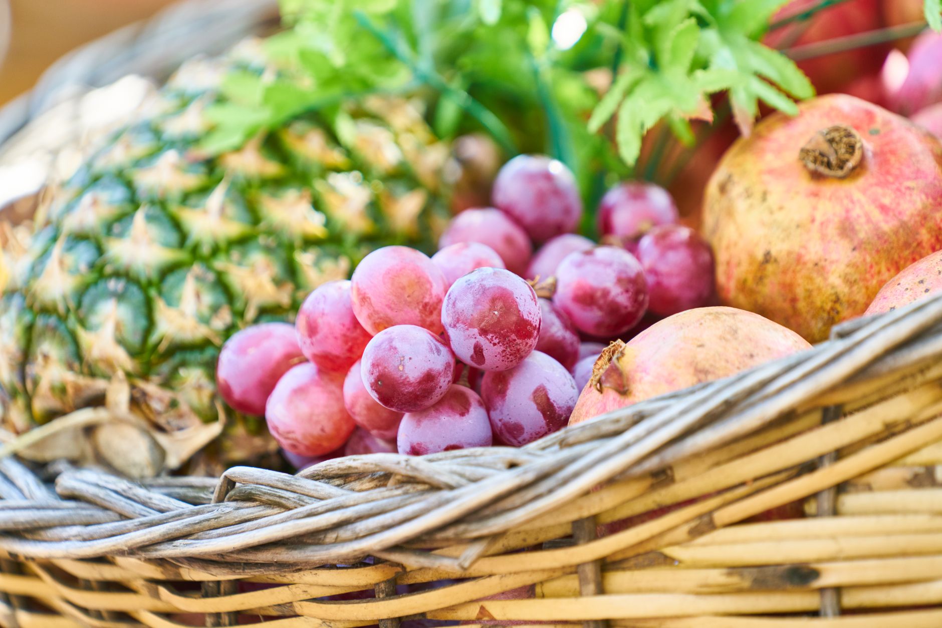 Grapples Fruit: What Are They and Why Did They Disappear?