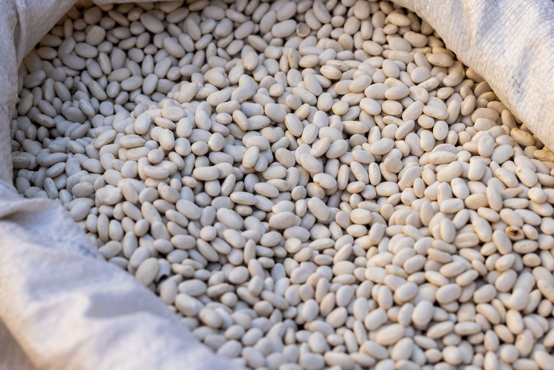 High Fiber Beans to Boost Your Digestive Health