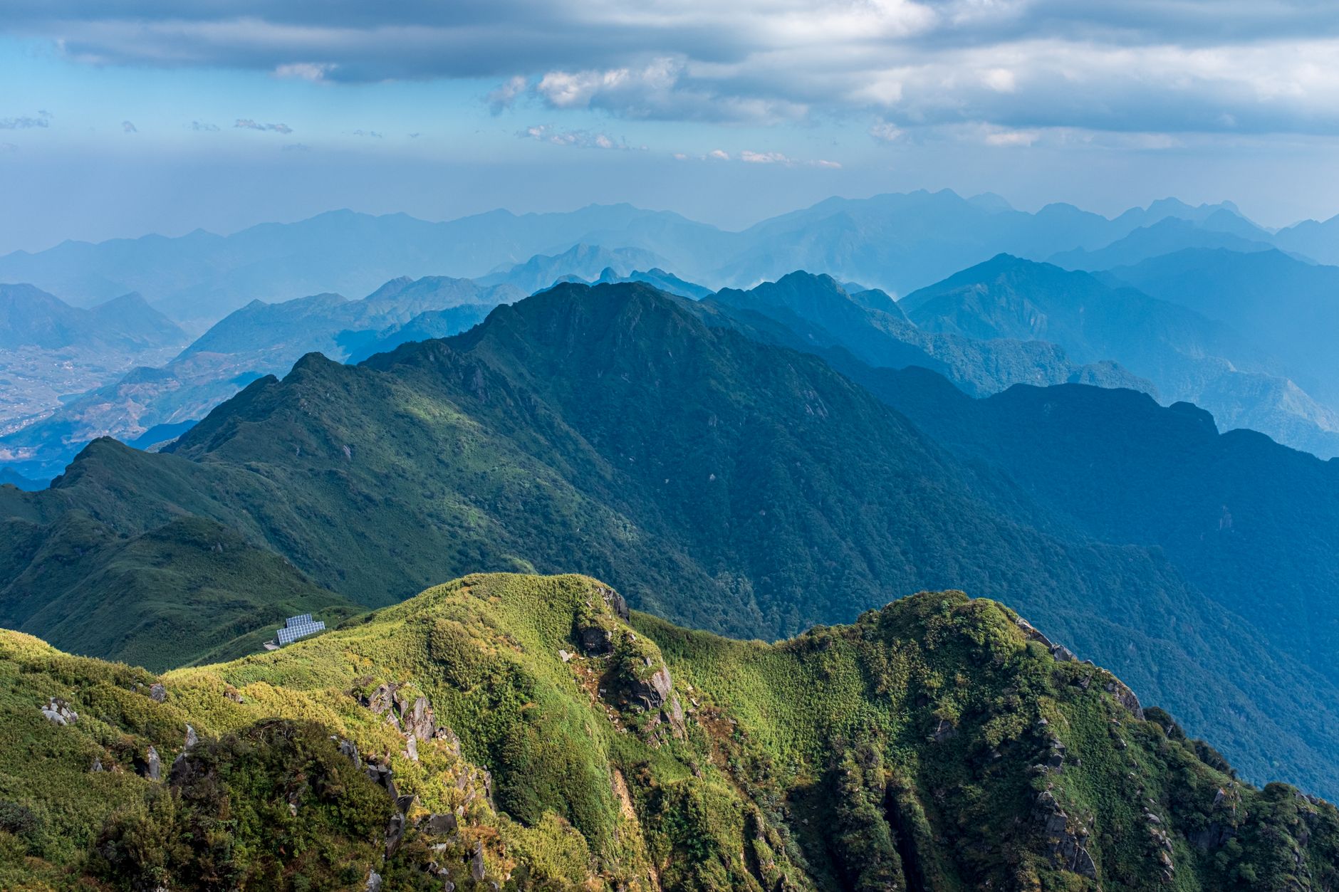 Mountain Dew Popularity: Reasons Behind Its Appalachian Success