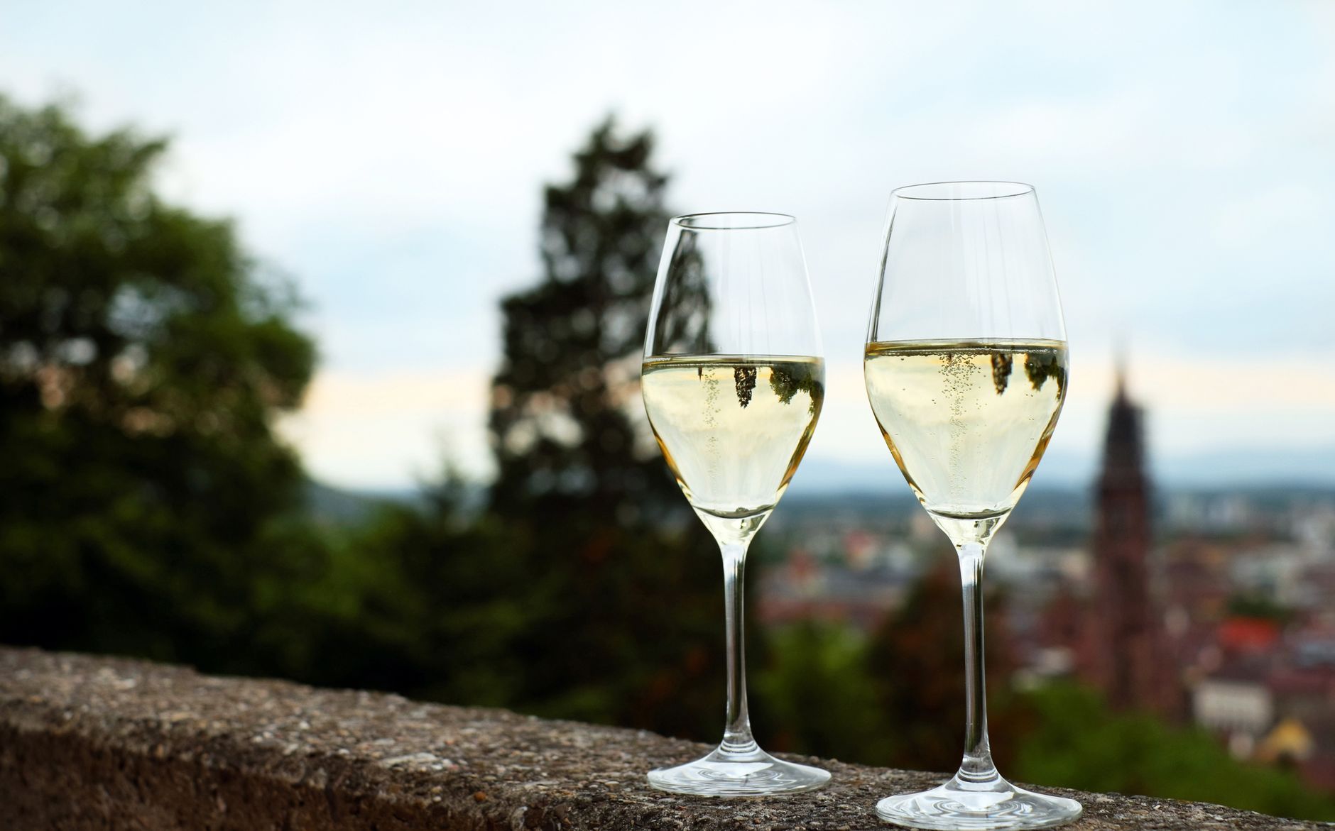 Spumante Wine Difference: What Sets It Apart From Champagne?