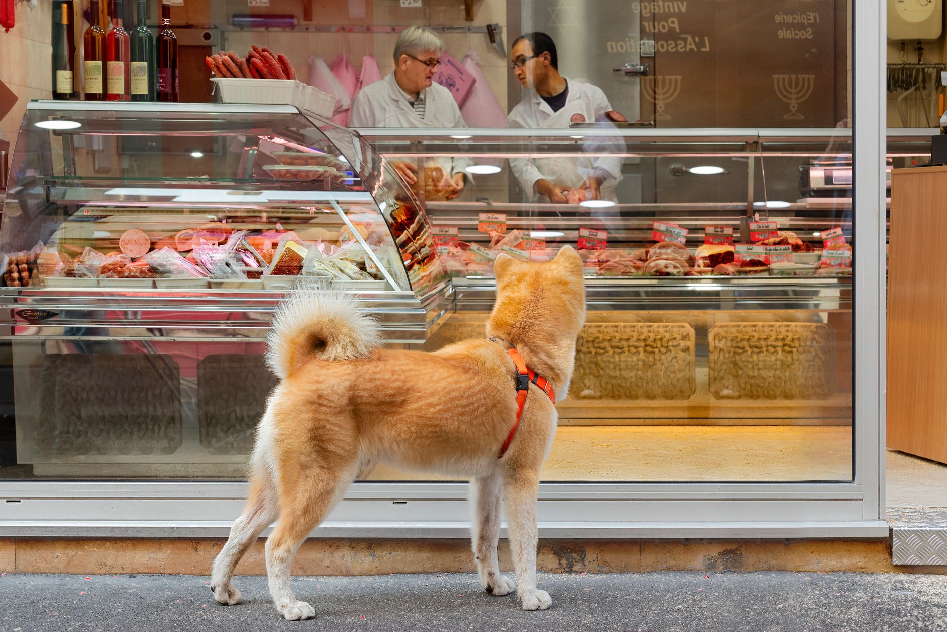 How to Store Ground Beef Safely in Your Fridge