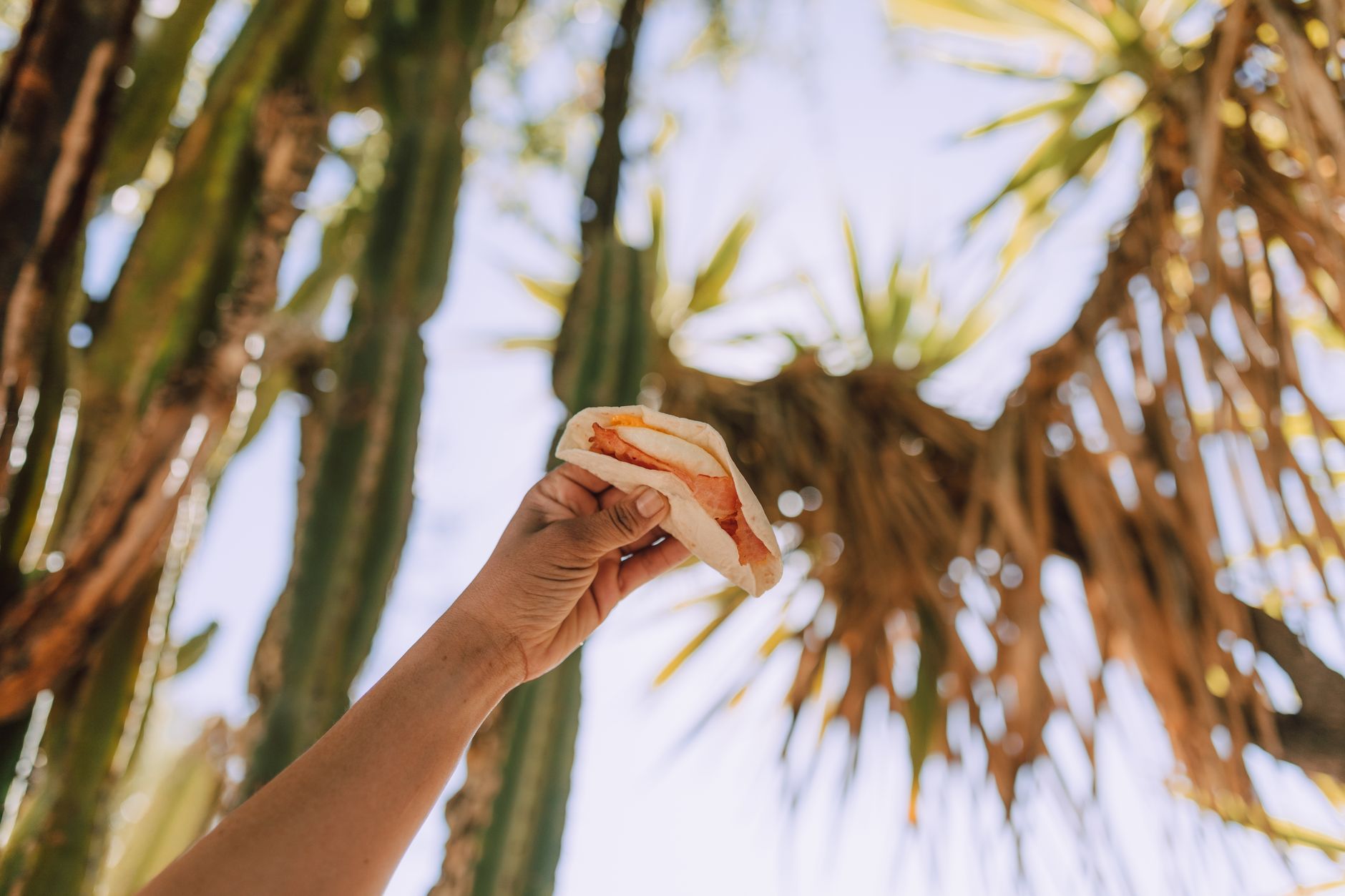 Taco Bell Breakfast Hours: When to Get Your Morning Fix