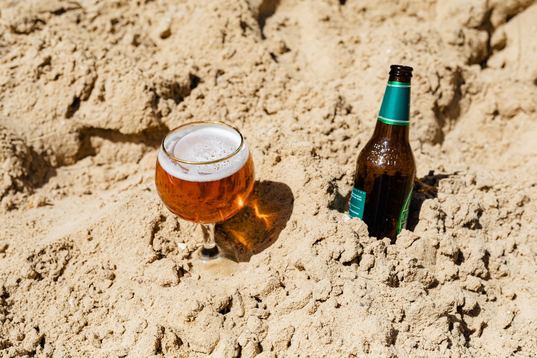 Ale vs Lager: Key Differences You Should Know