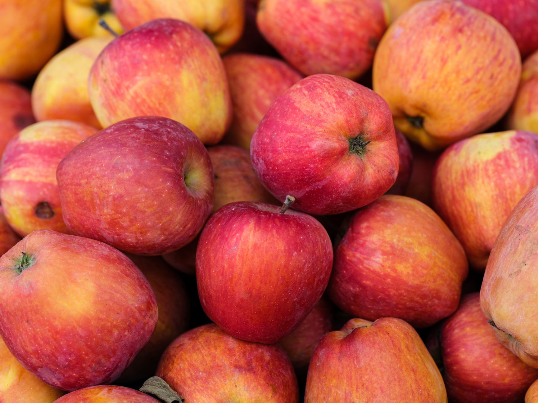 How Many Apples Per Pound: A Handy Guide for Buying and Cooking
