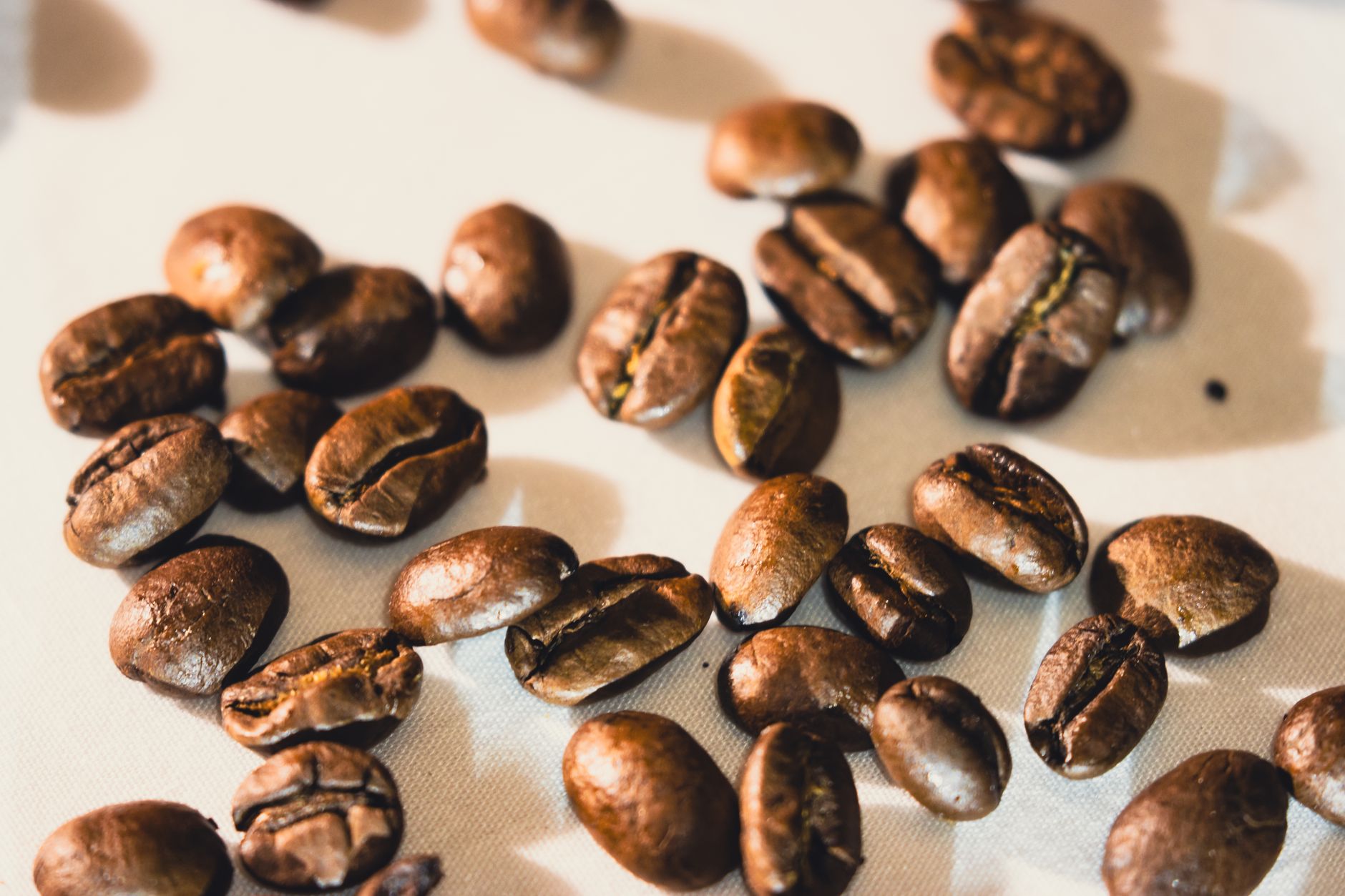 Best Coffee Beans: Top Choices for Your Perfect Brew