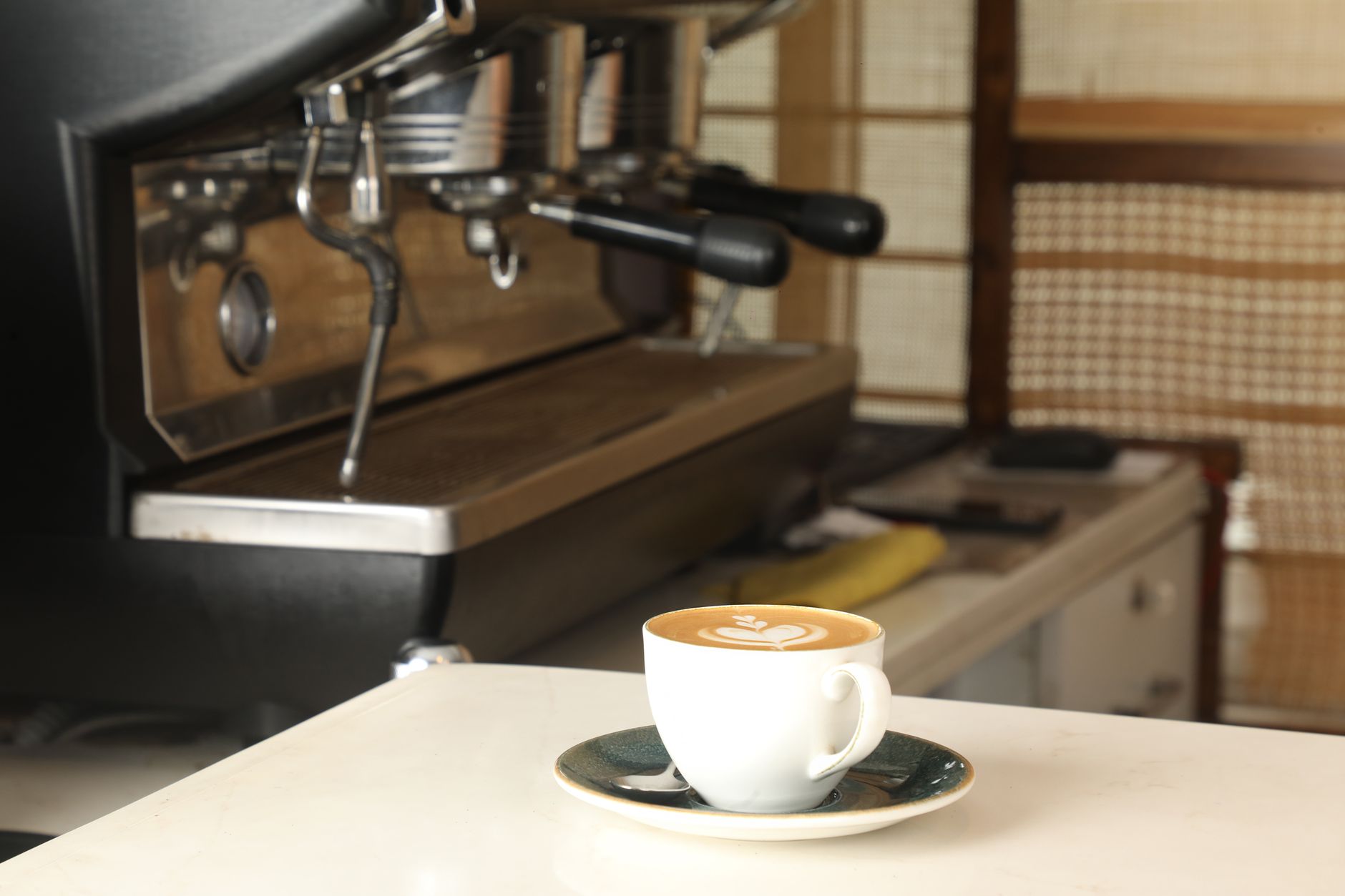 Discover the Best Coffee Shops for Every Taste and Mood