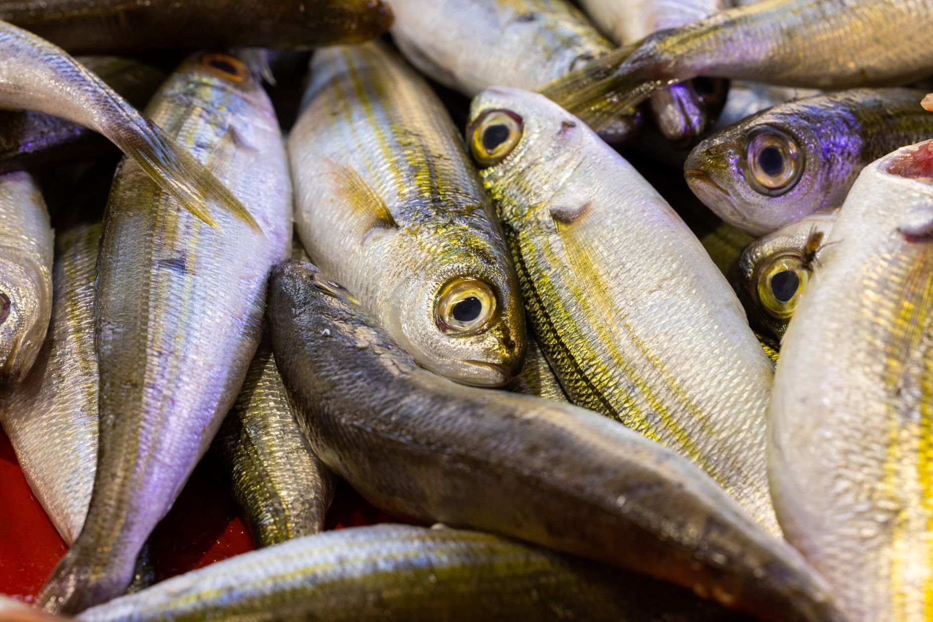 Best Fish Quenelle: Choosing the Ideal Fish for Perfect Texture and Flavor