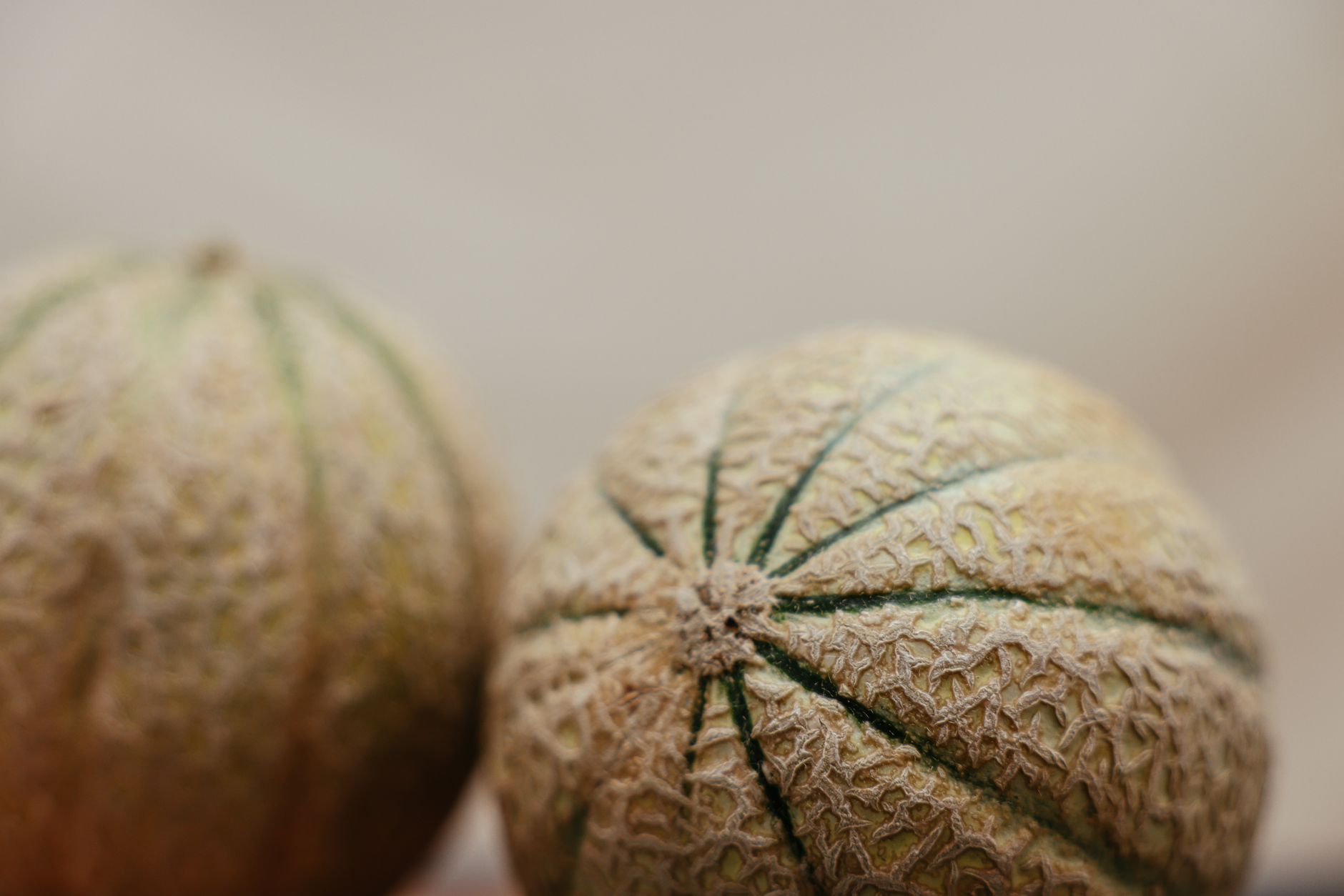 Cantaloupe Gone Bad: How to Spot Spoilage and Stay Safe