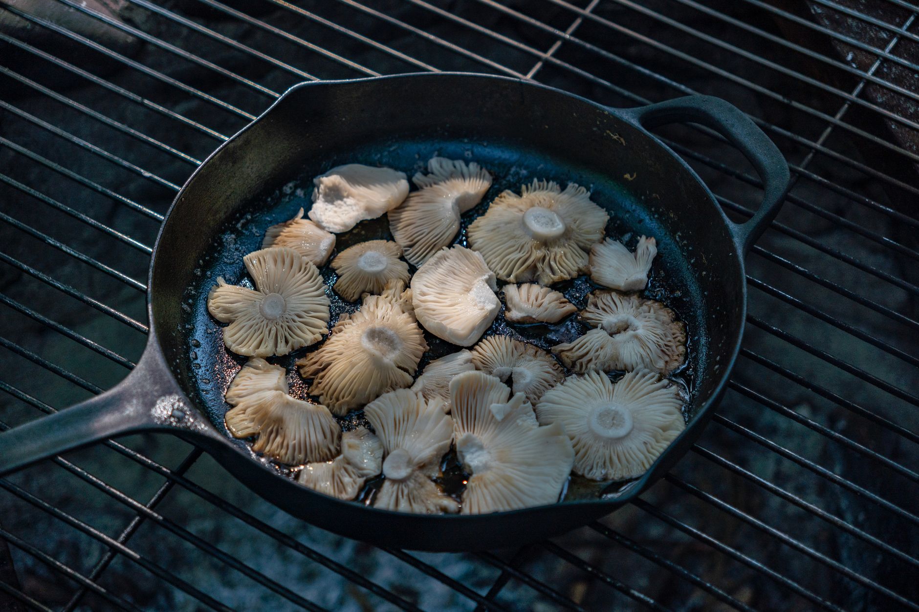 Cast Iron Skillets: 15 Common Myths Debunked for Better Cooking