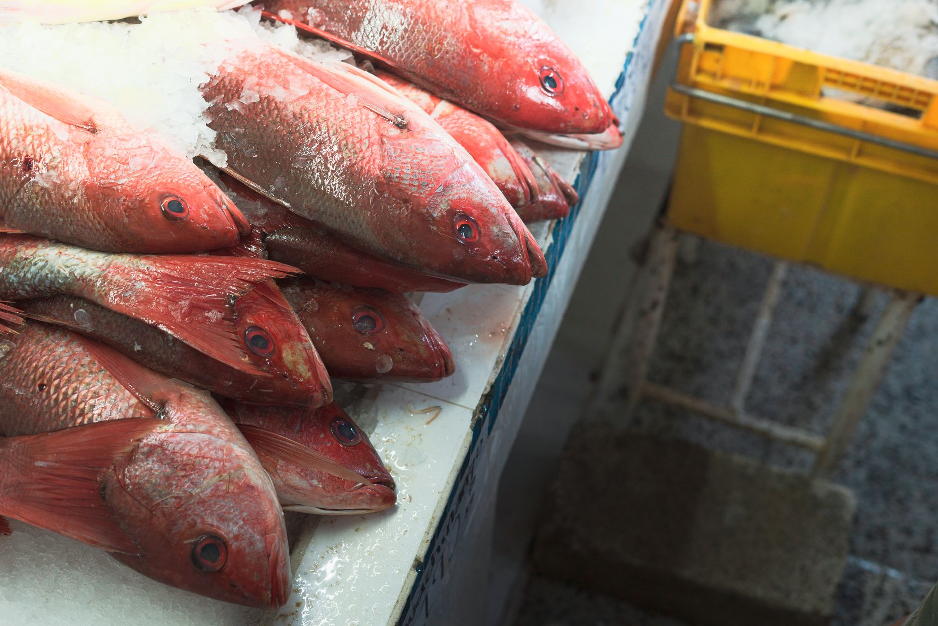 Cook Frozen Fish the Right Way to Avoid a Mushy Mess