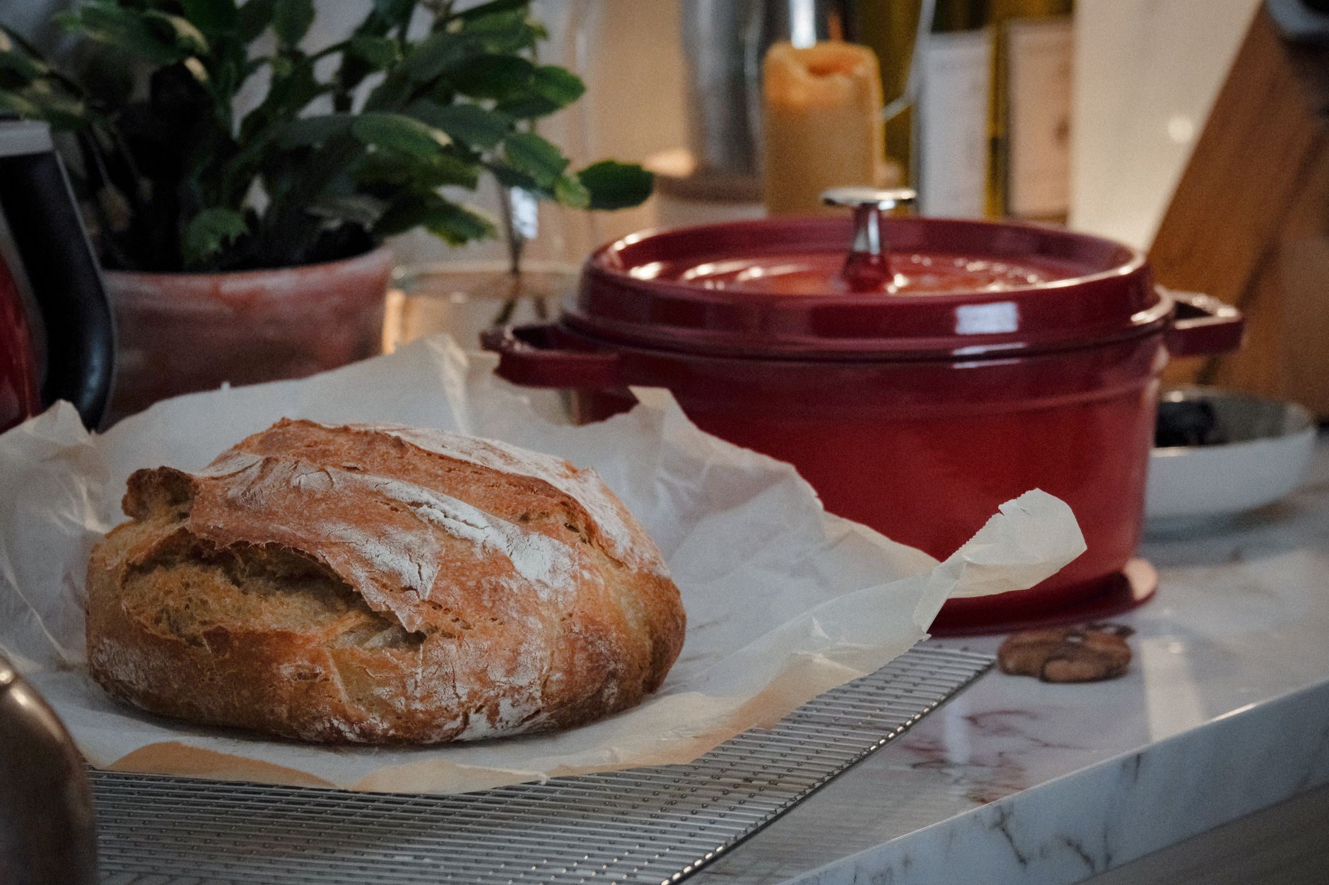 Costco Dutch Oven Combo: A Smart Buy for Every Kitchen